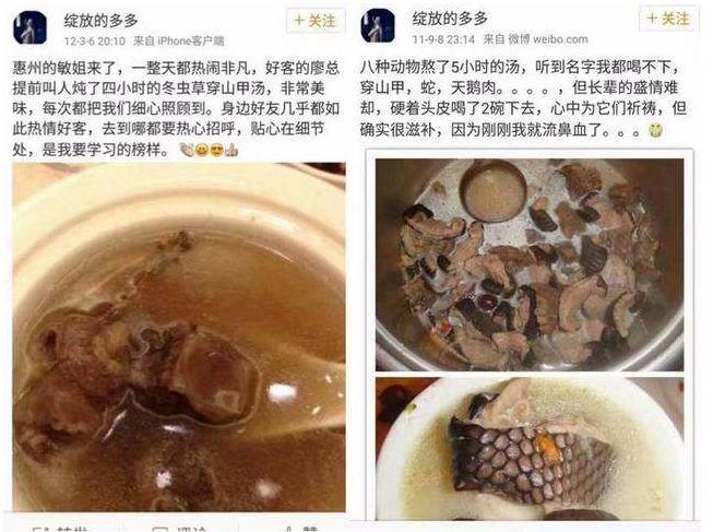 记吃不记打：昨天果子狸，今天穿山甲，明天会是谁？