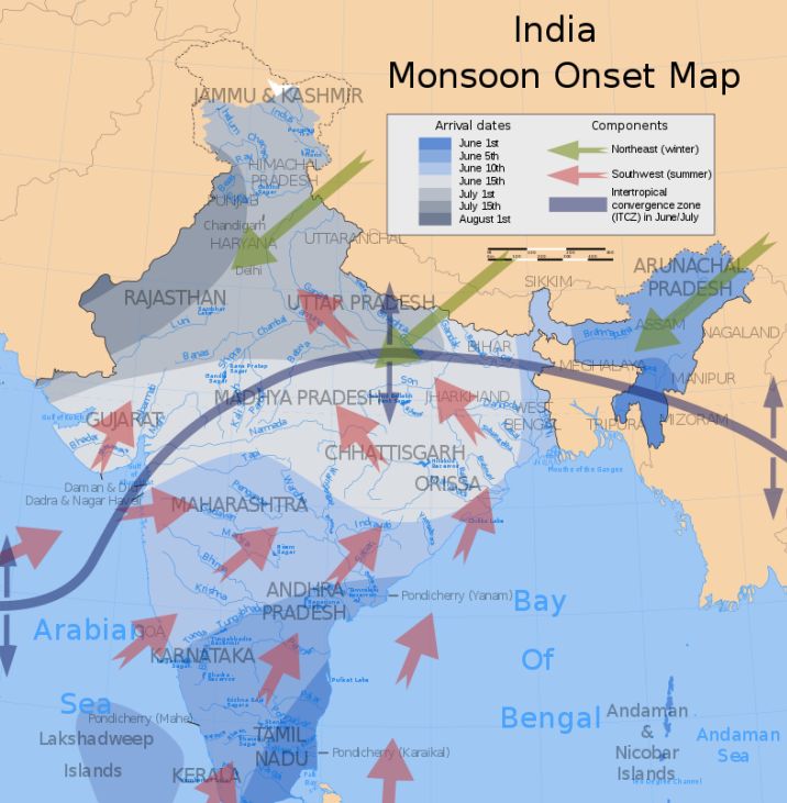 东非蝗灾：飞的过五湖四海，飞不过喜马拉