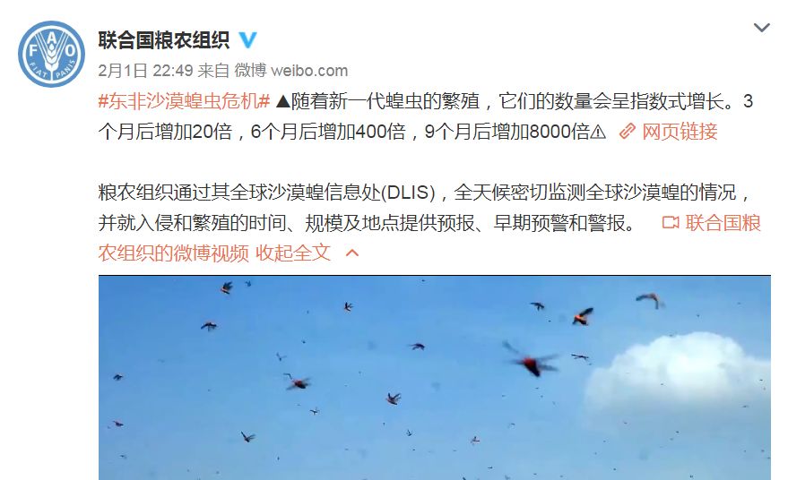 东非蝗灾：飞的过五湖四海，飞不过喜马拉
