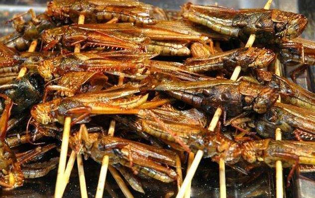 东非蝗灾：飞的过五湖四海，飞不过喜马拉