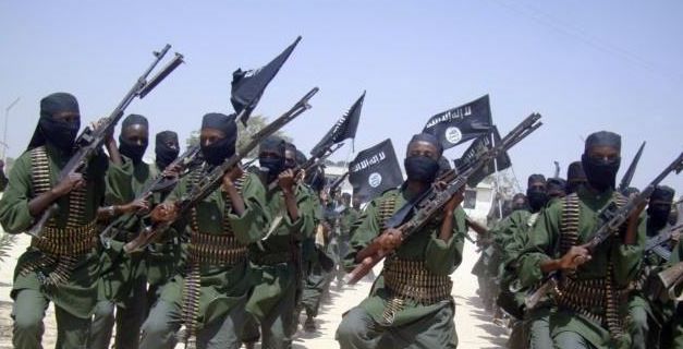 东非蝗灾：飞的过五湖四海，飞不过喜马拉