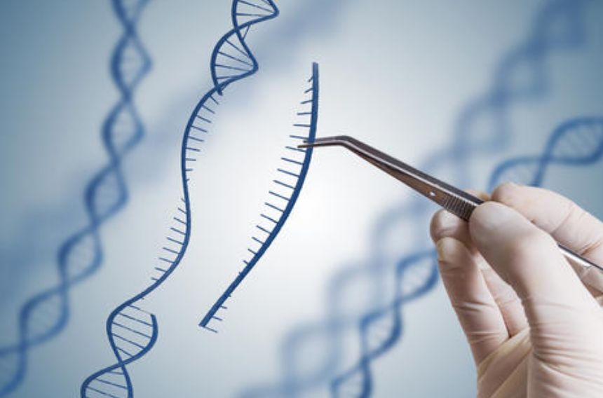 新冠疫情是美国人发动的“基因战”吗？