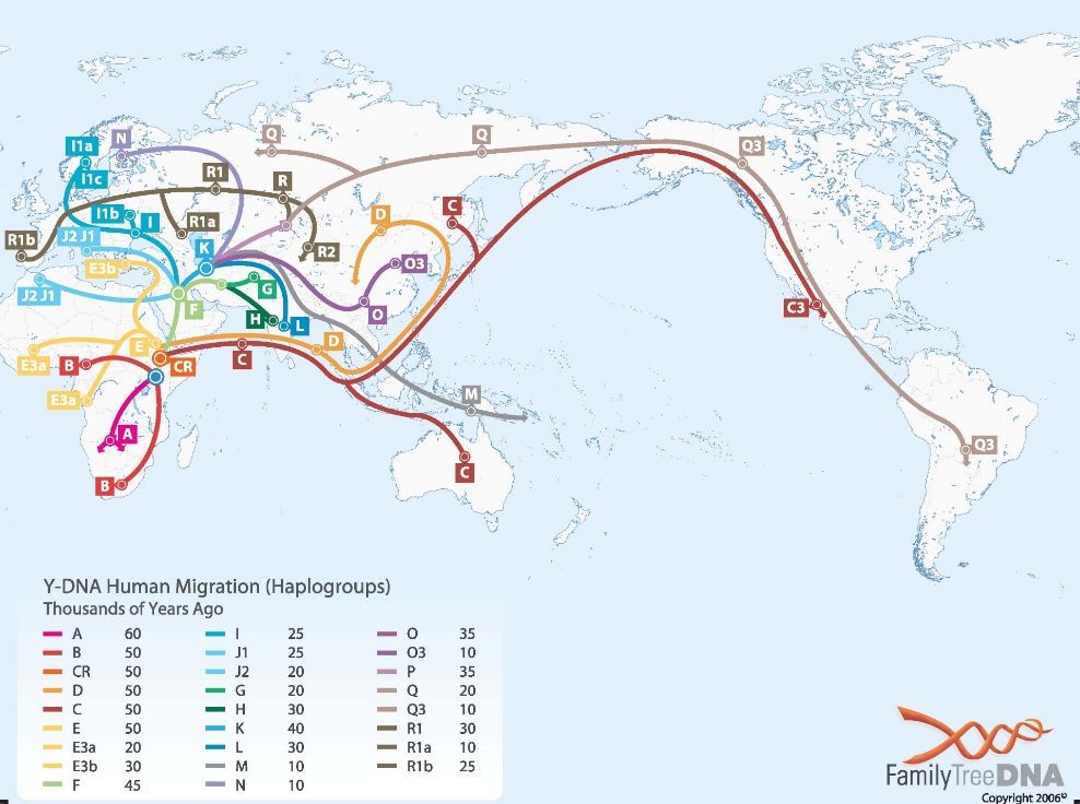 新冠疫情是美国人发动的“基因战”吗？