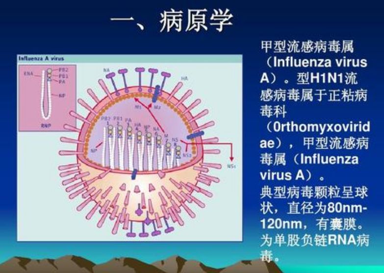 武汉疫情vs美国流感，一场没有硝烟的战争