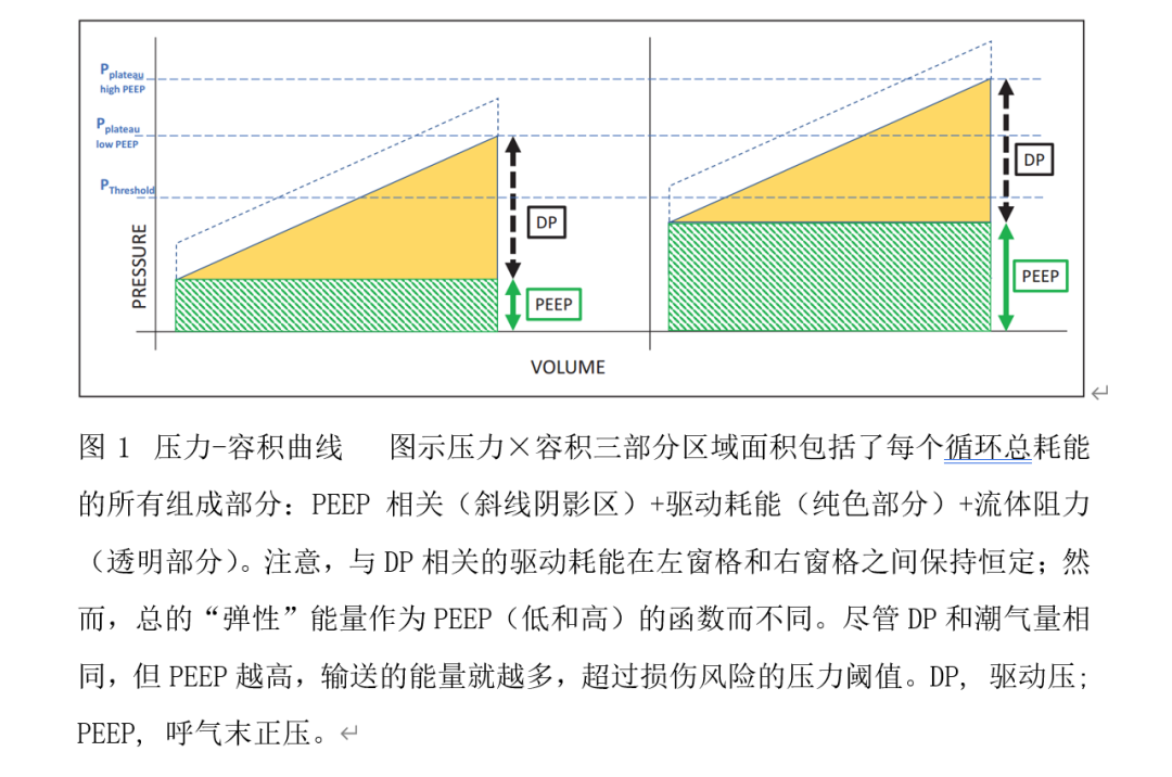 呼吸机是起什么作用PEEP在呼吸机诱发性肺损伤中的作用_https://www.jmylbn.com_新闻资讯_第2张