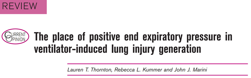 呼吸机是起什么作用PEEP在呼吸机诱发性肺损伤中的作用_https://www.jmylbn.com_新闻资讯_第1张