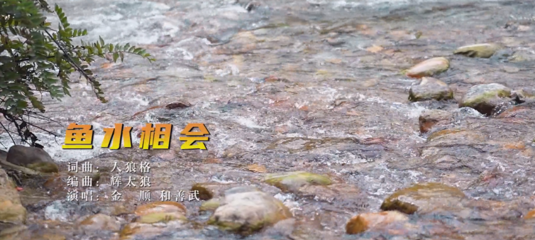 鱼水相会 MV 封面