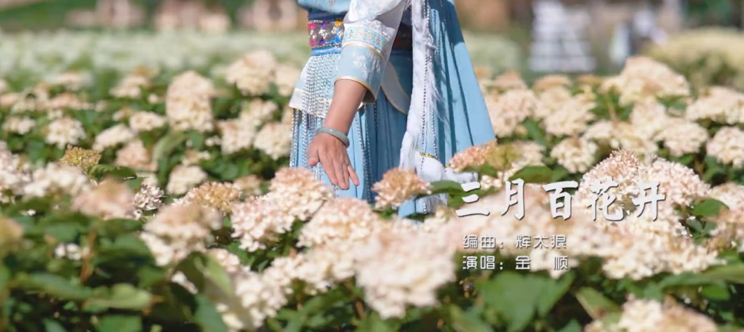 三月百花开 MV 封面