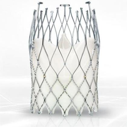 什么是外周支架获批上市！国产耗材龙头外周开疆拓土_https://www.jmylbn.com_新闻资讯_第9张