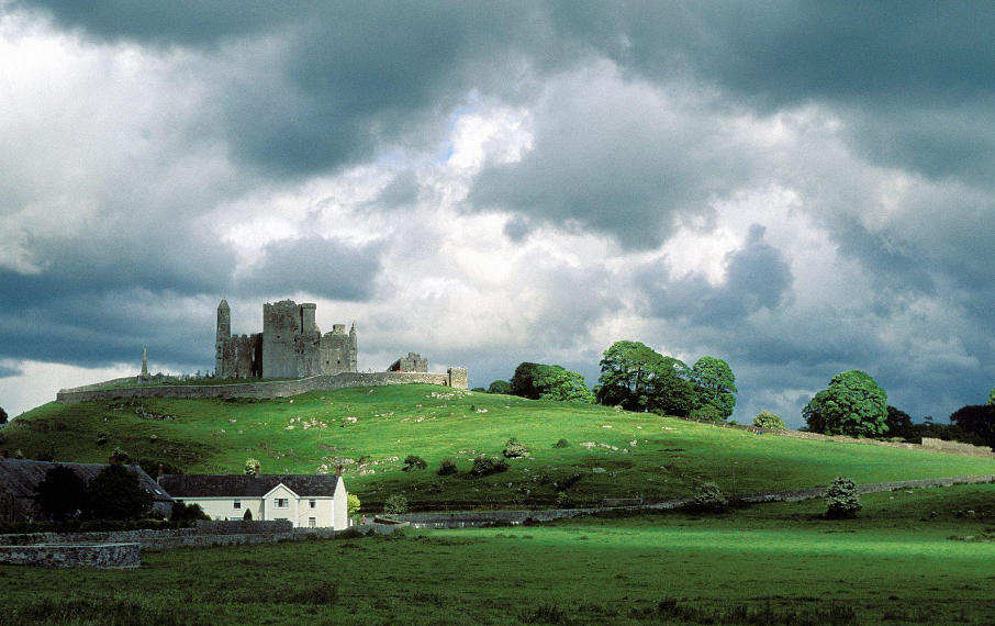 bd医疗怎么样BD医疗裁员，涉及整条生产线_https://www.jmylbn.com_新闻资讯_第2张