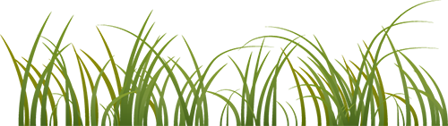 蘇州網(wǎng)上家長(zhǎng)學(xué)校公眾號(hào)_蘇州市網(wǎng)上家長(zhǎng)學(xué)校_蘇州網(wǎng)上家長(zhǎng)學(xué)校