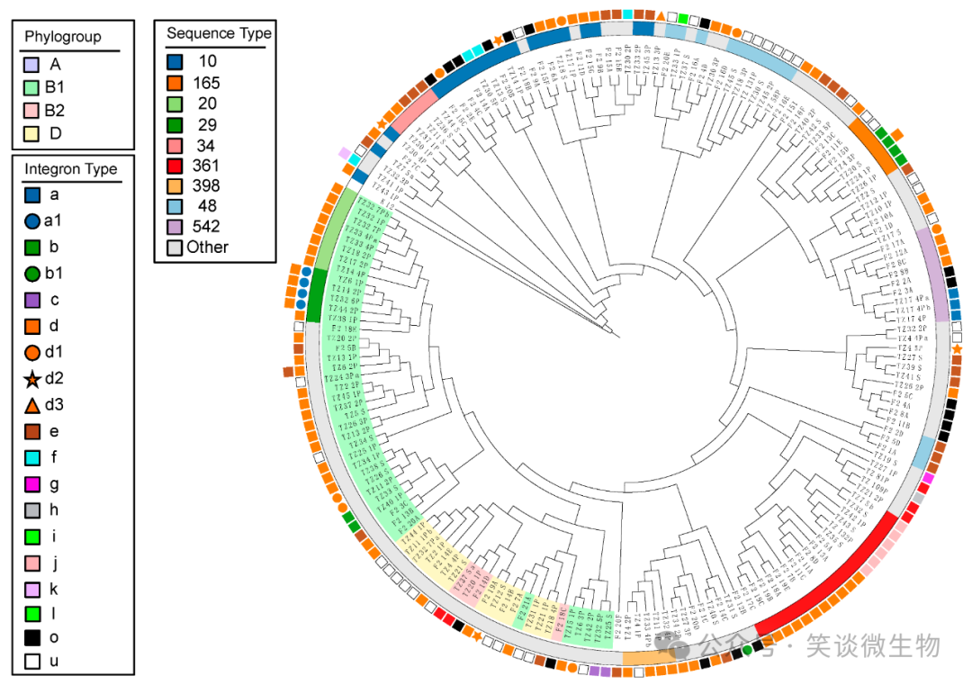 菌种鉴定：微生物学的关键步骤