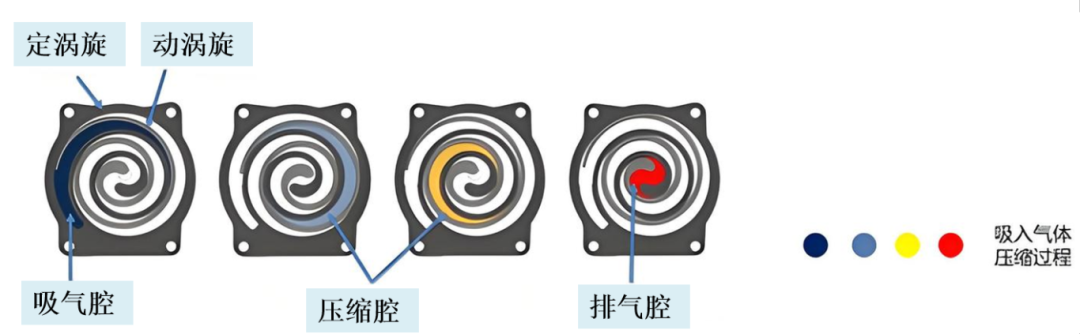 涡旋泵抽气原理图.png