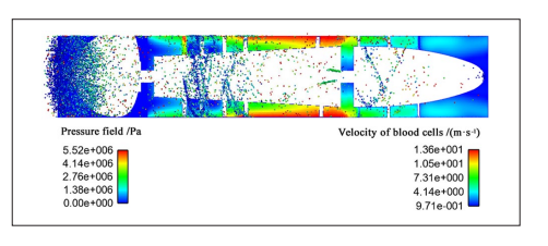 用计算流体动力学-离散元法分析轴流泵的流场和溶血指标的图8