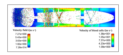 用计算流体动力学-离散元法分析轴流泵的流场和溶血指标的图9