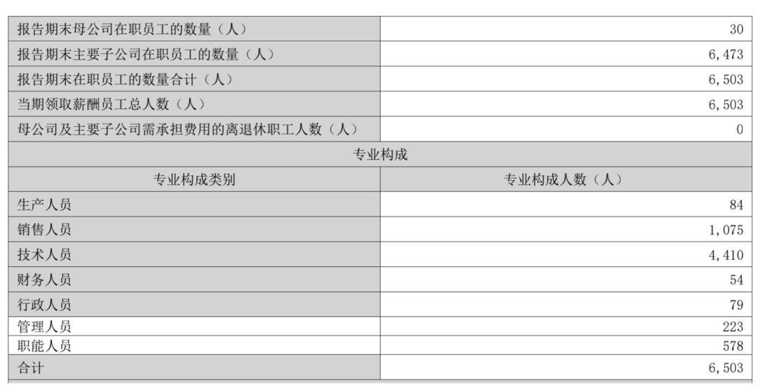 2024年06月26日 启明星辰股票