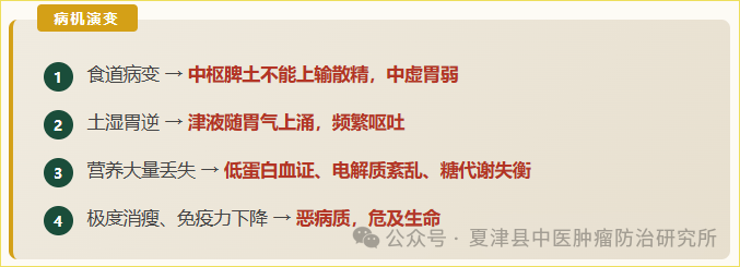 对食道肿瘤的特色疗法