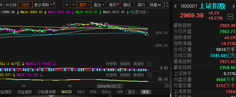 金莱特股票走势图最新消息