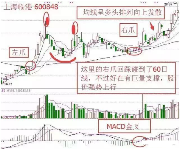 金莱特股票走势图最新消息