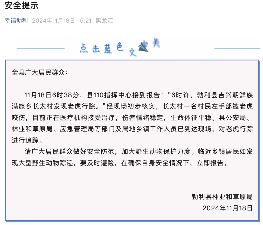 老虎最新新闻(老虎最新新闻视频)