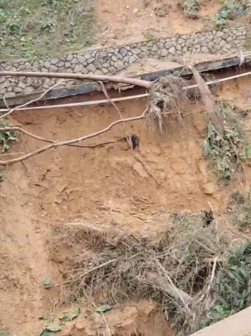 广东梅州村民讲述：洪水铲平房子，只剩石头和平地