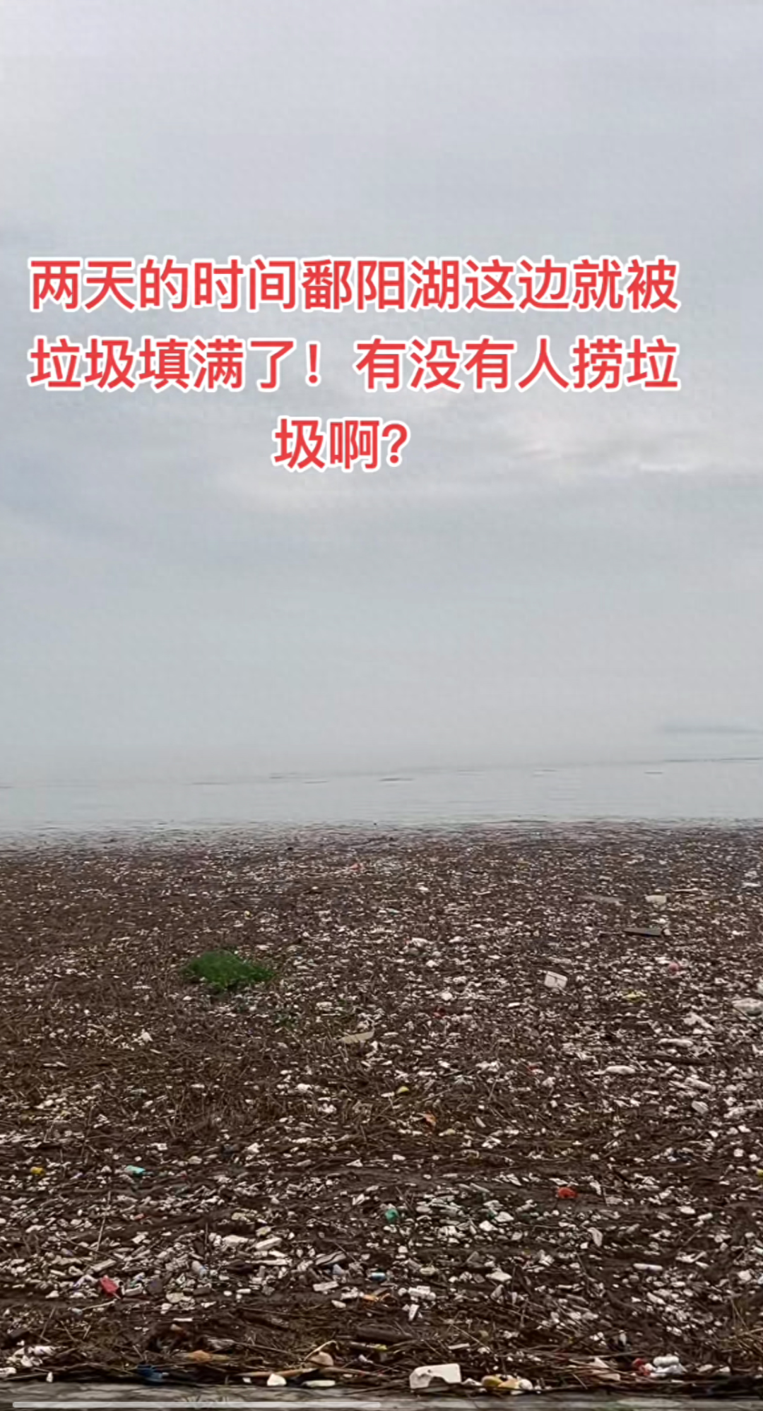 鄱阳湖部分湖面被垃圾填满，生态环境局：近期雨势太大无法清理