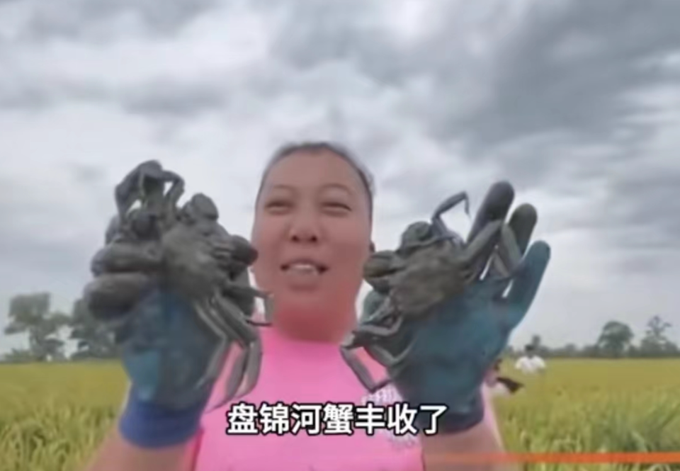 东北雨姐删除道歉视频，7天未更新账号掉粉54万