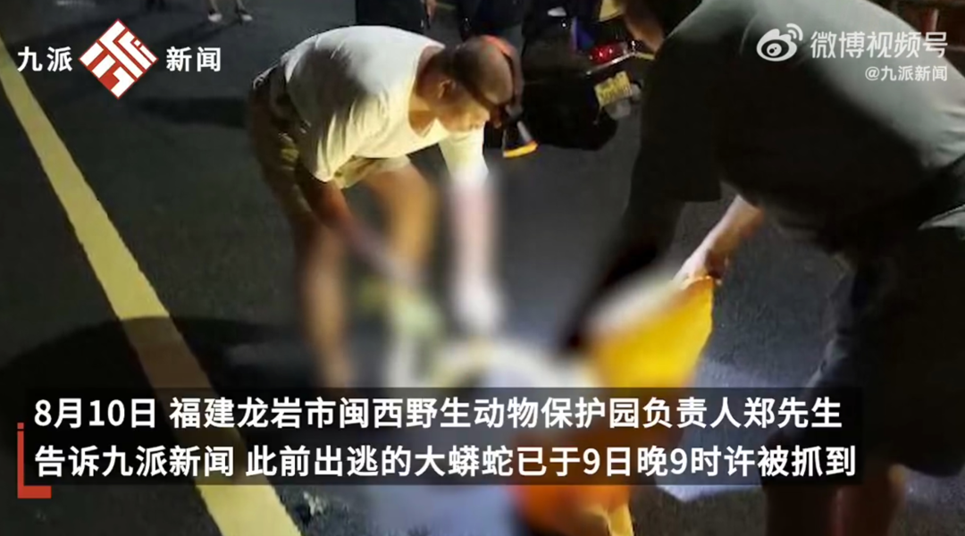 福建一动物园蟒蛇出逃近20天，园方回应：已找到，在1公里外被人发现，蛇已脱皮