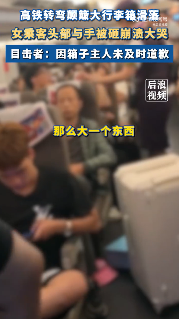 女子乘高铁被行李箱砸头崩溃大哭，官方通报