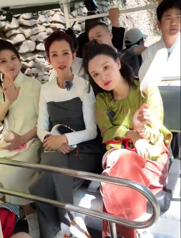 优酷官宣《甄嬛传》团综，剧组主创全员重聚