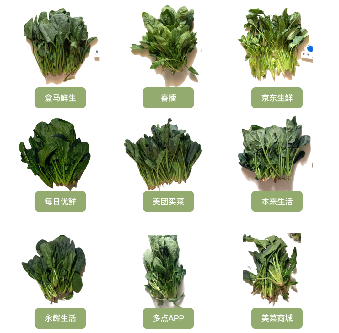 蓝莓评测 9家生鲜平台实测 今年排名大逆转 蓝莓评测 微信公众号文章阅读 Wemp