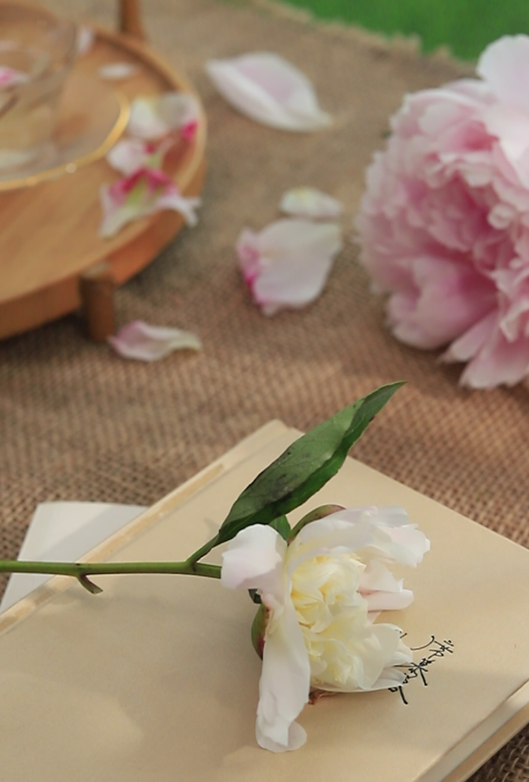 感恩节：感恩有你！