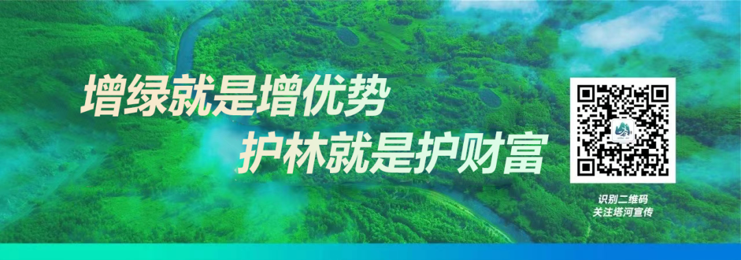 2024年04月07日 大兴安岭天气