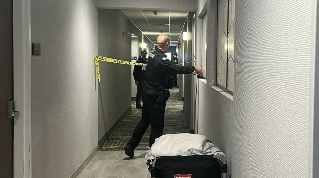 图片来源NPR 版权属于原作者