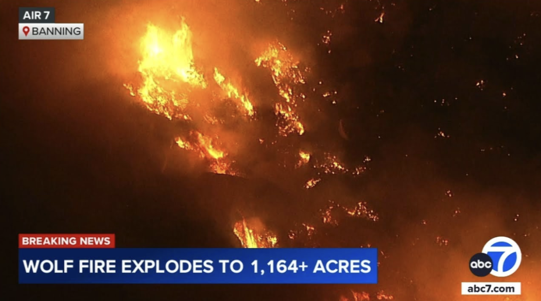 图源abc7 版权属于原作者