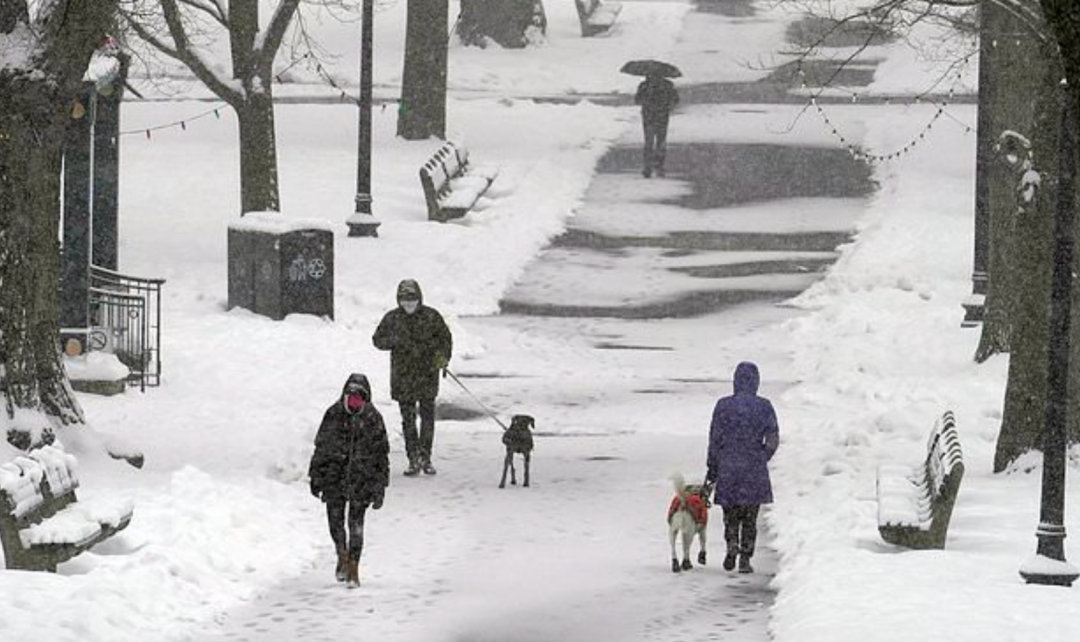 图源网络 版权属于原作者
