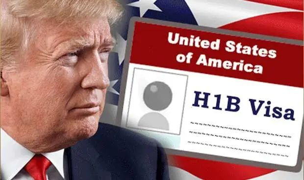 ͼԴ���� ��Ȩ����ԭ����