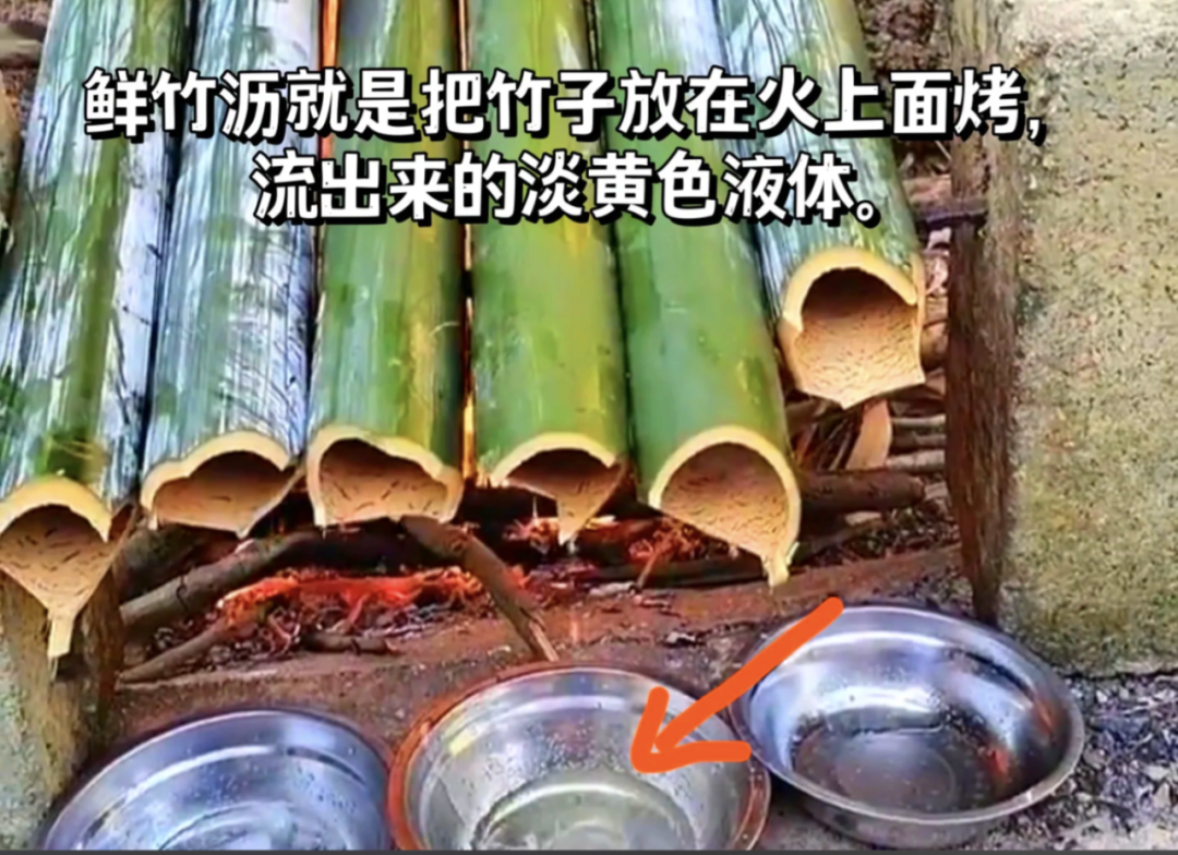 鲜竹沥：竹火淬炼的“化痰圣水”