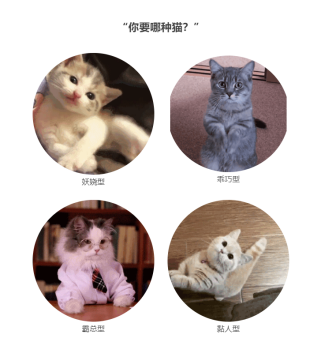 猫咪社区二维码邀请图片