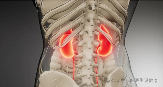 中成药分享 肾精不足的三大表现？分享一味中成药，补肾填精，强腰固本