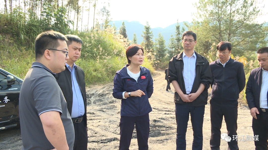 67县长毛华慧到明伦镇煤矿盗采点现场办公