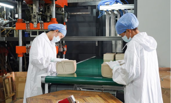 广东竹笙笙科技有限公司竹制环保餐具生产线