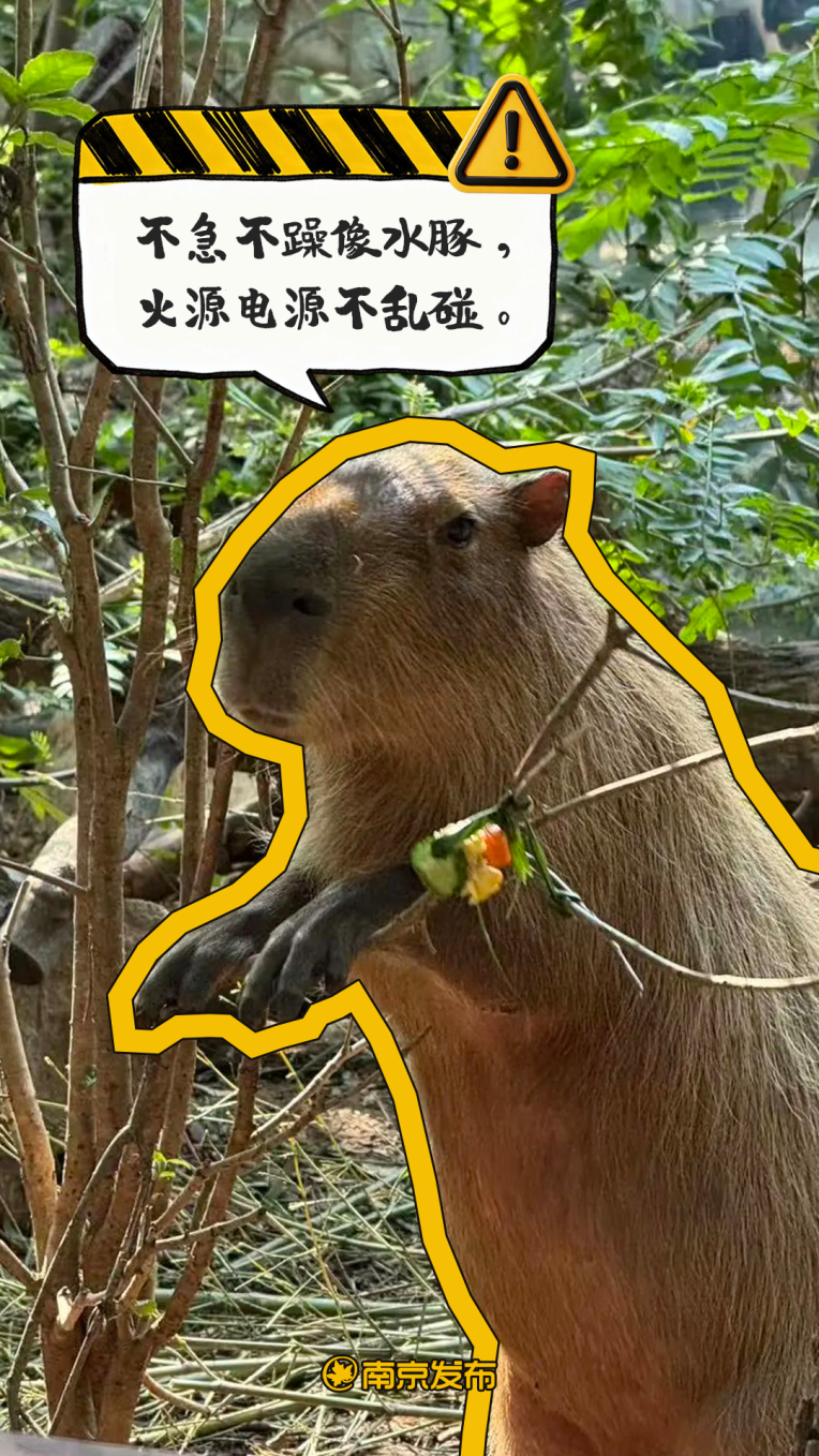 09.png