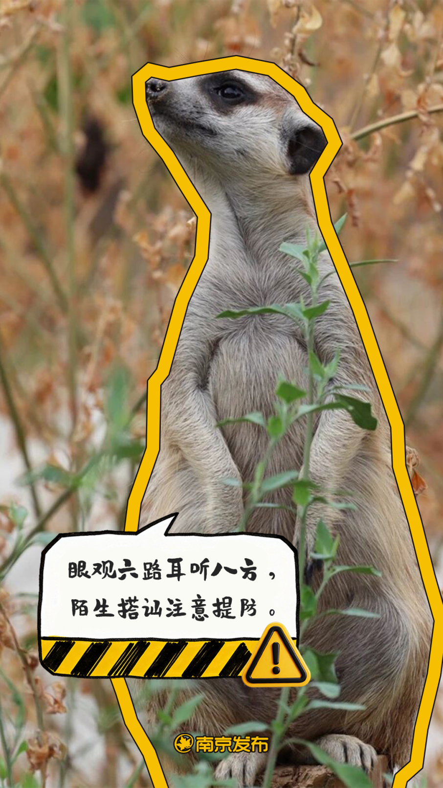05.png