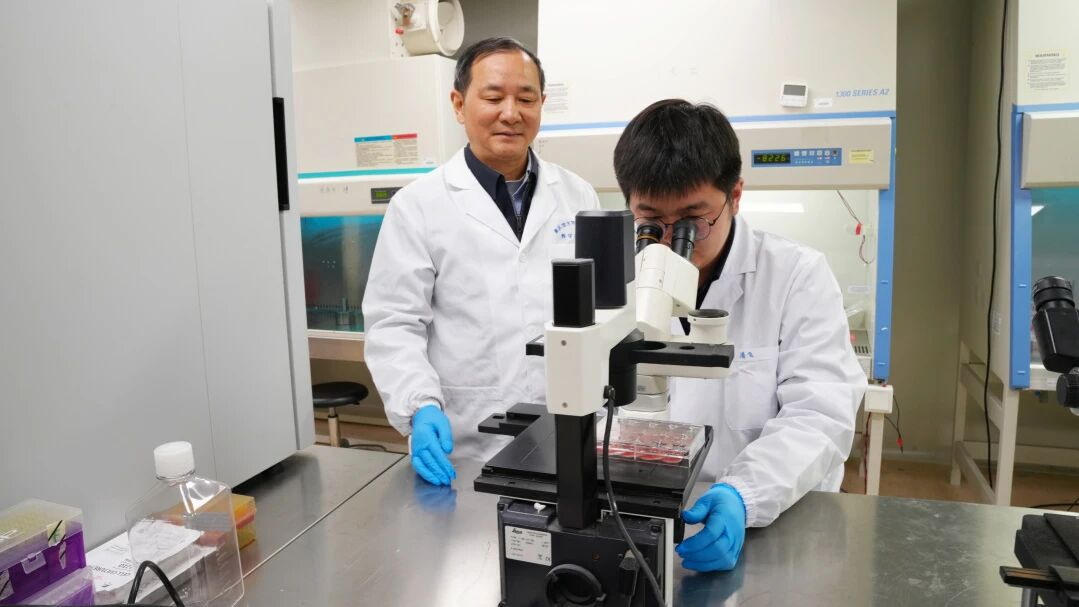 范红结教授指导青年研究员进行胞内劳森菌分离培养