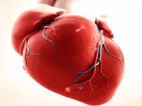 什么是同步心电图【航天心科普】   心率、心律、心跳是一回事吗？_https://www.jmylbn.com_新闻资讯_第2张