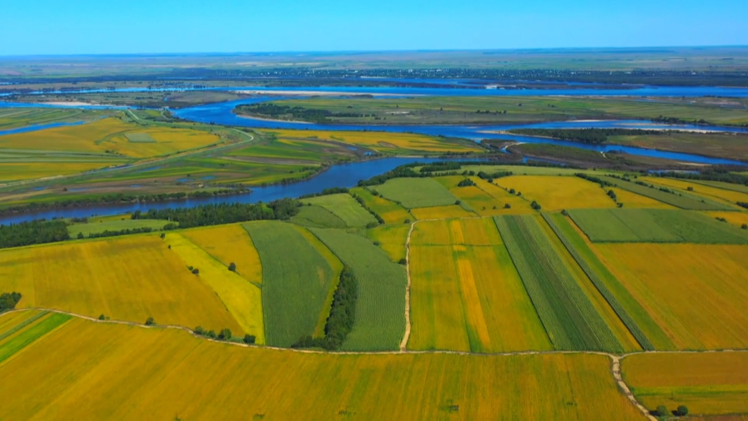 回眸2023丨孙吴县稳住农业基本盘夯实三农压舱石