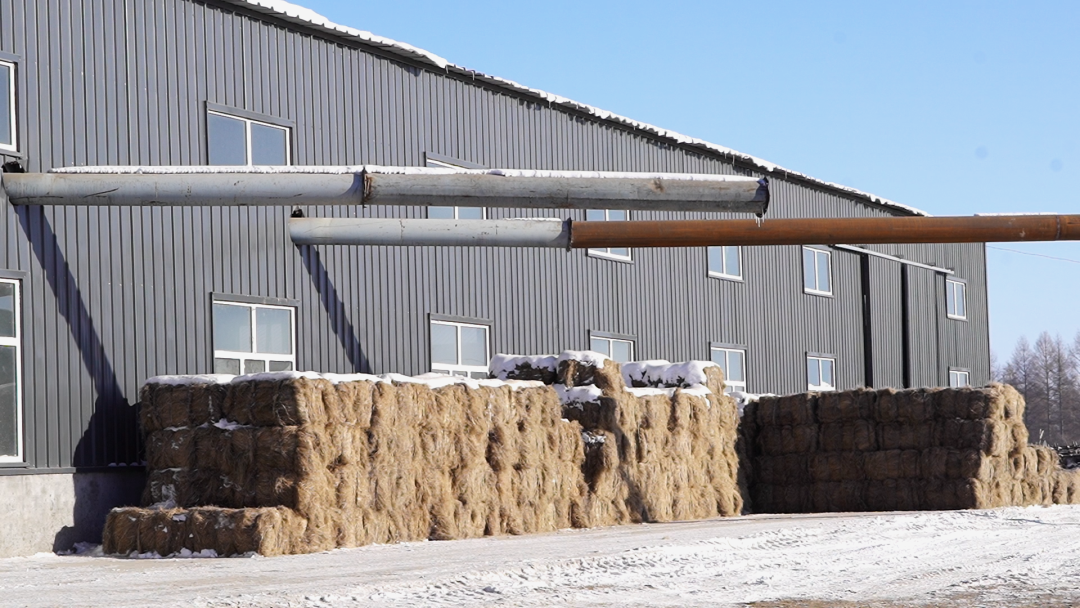 孙吴汉麻产业带来稳稳的幸福_县市区动态_黑河市人民政府