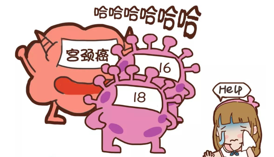 细胞制片夹怎么用知否知否，宫颈癌筛查有它相守    知否知否，预防“红颜杀手”_https://www.jmylbn.com_新闻资讯_第2张