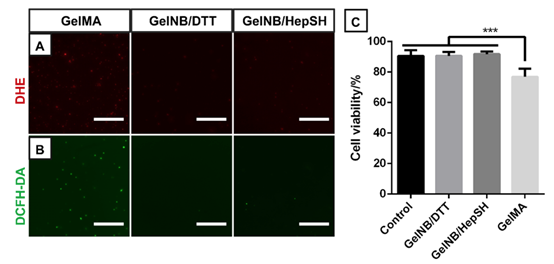 Biomacromolecules：富含巯基的多功能高分子交联剂用于生物打印的图2